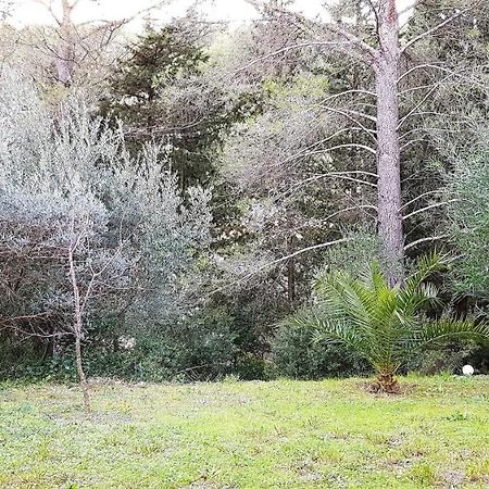 O Zen Suite Sanary-sur-Mer Eksteriør bilde